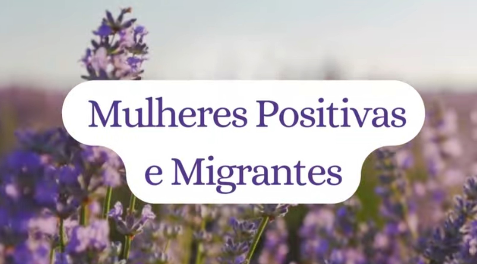 migrantes miniatura